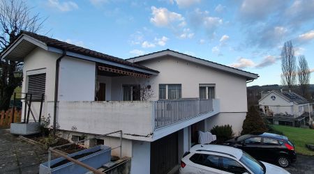 FuFu_44 - vorher.jpg